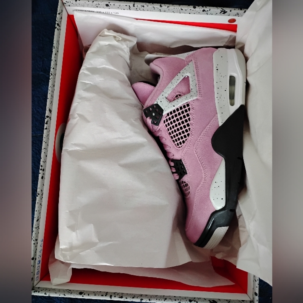 Air Jordan 4 Orchard Retro